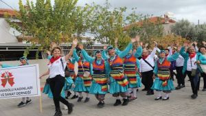 Zeytin Hasadı ilk kez festival olarak kutlandı